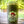 Load image into Gallery viewer, lost tooth club skull and crossbones sticker on a water cup

